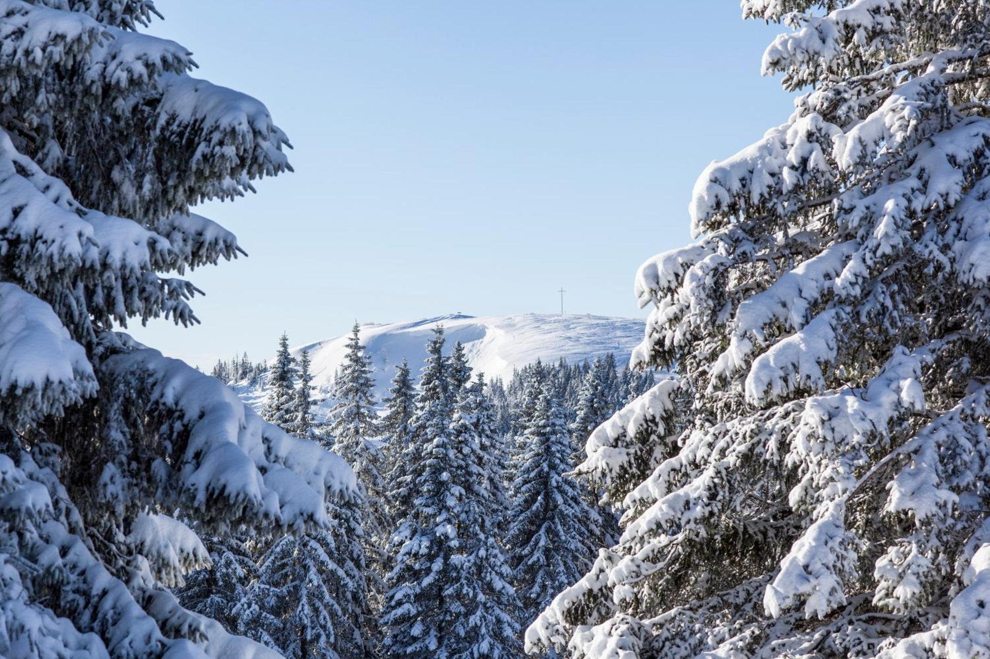 Fewo Schwarzwaldblick, 3 Schlafzimmer Todtnau-Muggenbrunn, Liftverbund Feldberg Exterior foto