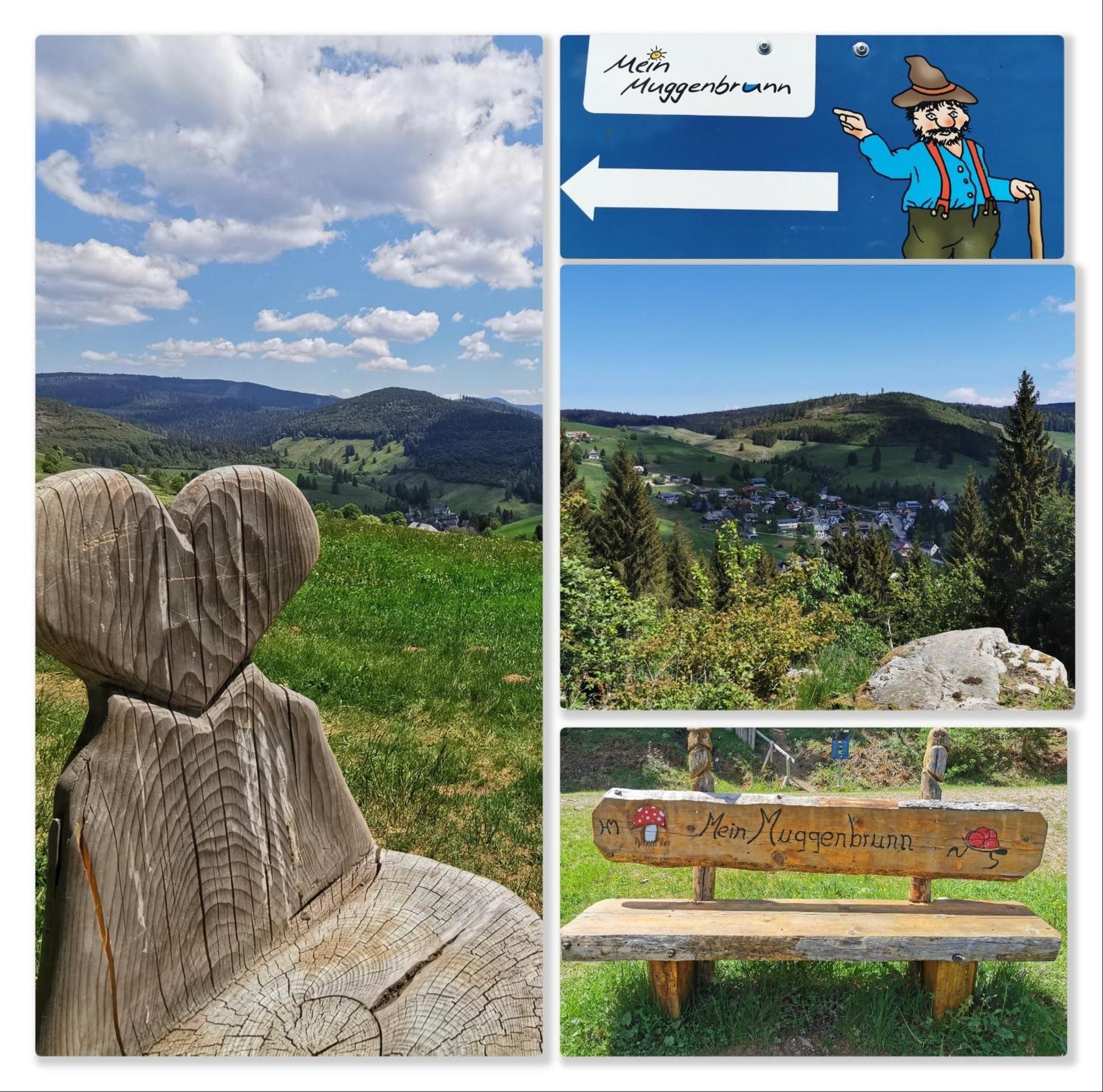 Fewo Schwarzwaldblick, 3 Schlafzimmer Todtnau-Muggenbrunn, Liftverbund Feldberg Exterior foto